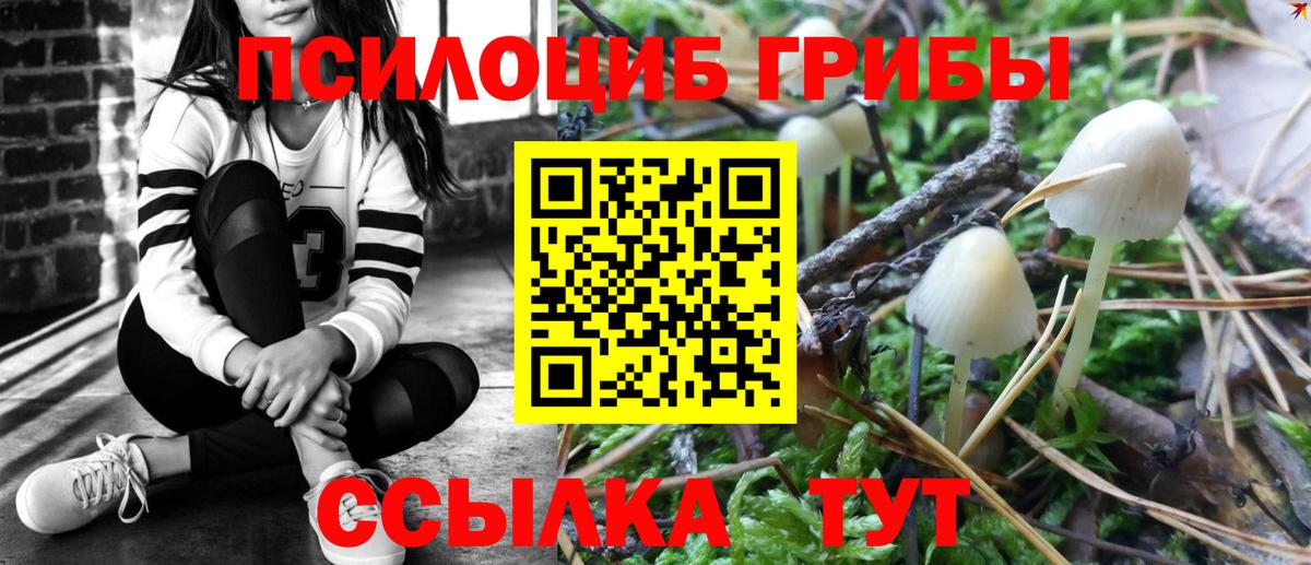 Псилоцибиновые грибы ЛСД  как найти закладки  Вход с VPN  Сарапул  Псилоцибиновые грибы Magic Shrooms 